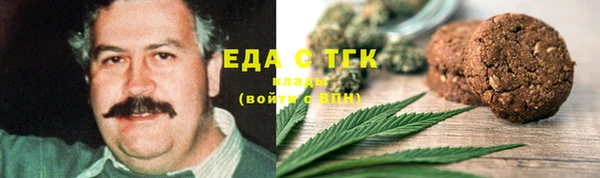хмурый Аркадак