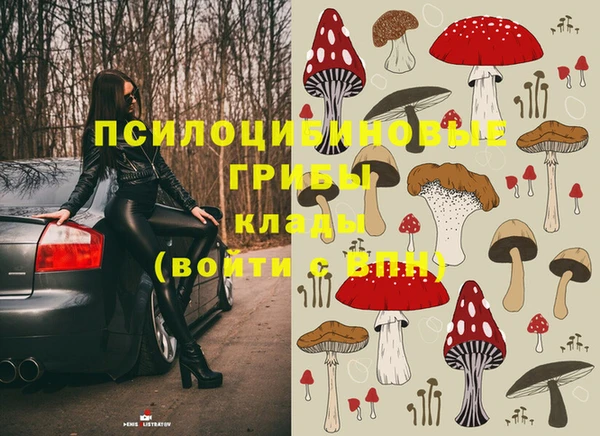 ECSTASY Армянск