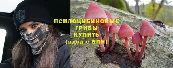 мяу мяу мука Алзамай