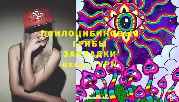хмурый Аркадак