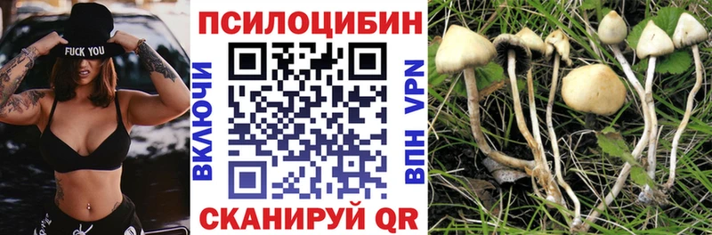 darknet клад  Лахденпохья  Галлюциногенные грибы GOLDEN TEACHER 